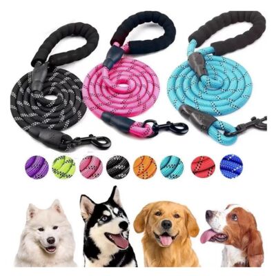Durable Nylon Pet Leash Thumbnail